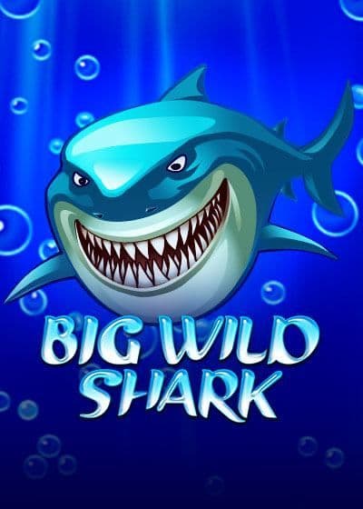 Big Wild Shark
